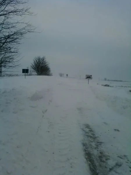 Сибир у Новој Црвенки 05.02.2014. год.